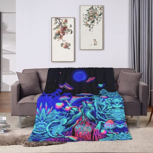 vgѕz TCPfbN}WbN}bV[ g K RsO 􂦂 \t@xbhp 60x50inch 152x127cm