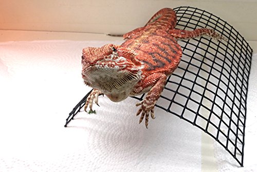 CAROLINACUSTOMCAGES Carolina Custom Cages' Bearded Dragon Tanning Arch, Reptile Habitat Accessory