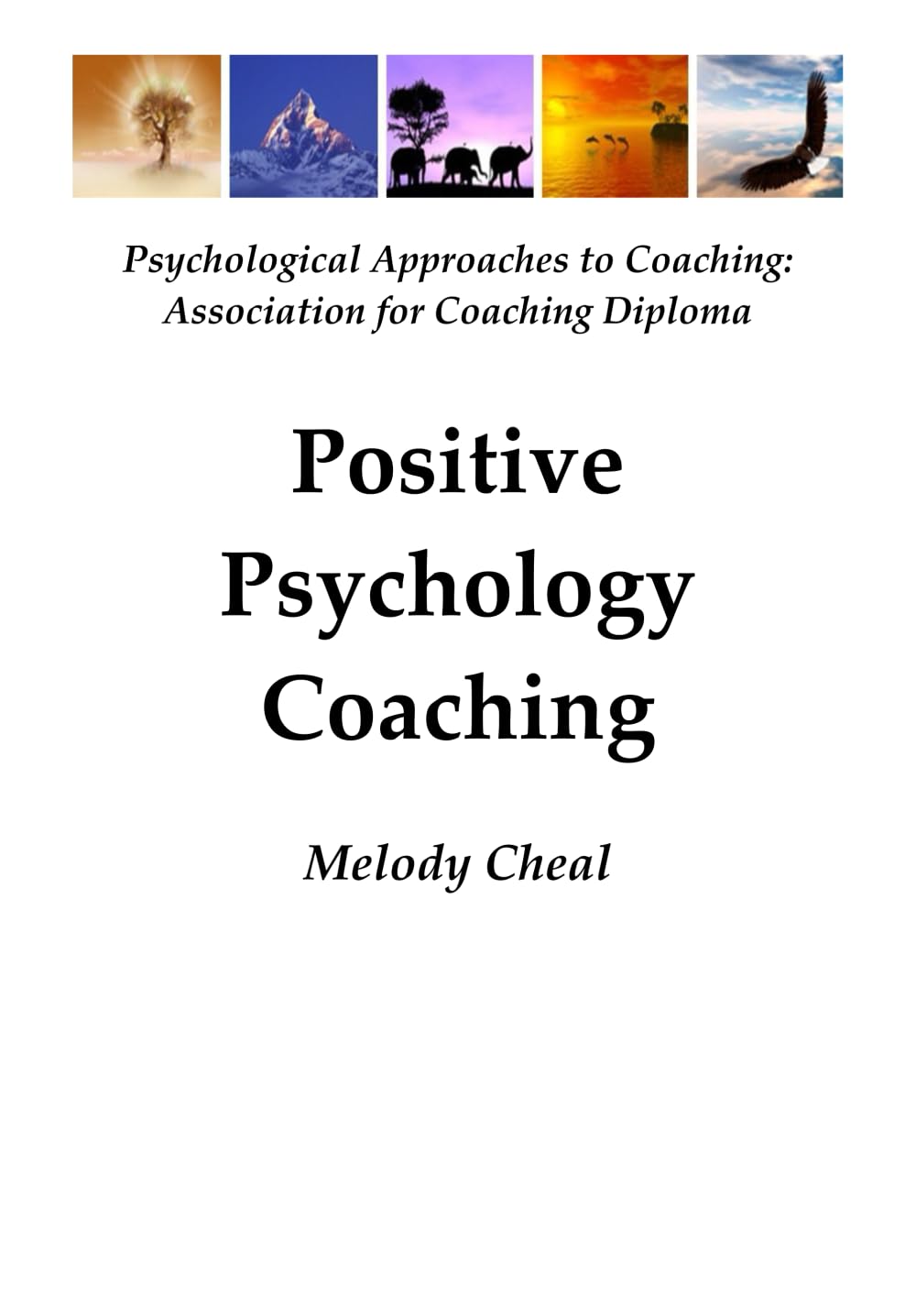 Positive Psychology Coaching: Psychological Approaches to Coaching