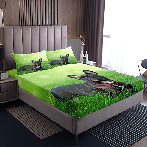 Set di biancheria da letto con bulldog francese set di lenzuola per bambini ragazzi ragazze adolescenti animali domestici e cuccioli lenzuolo con angoli in 3D a tema animale traspirante per letto sin