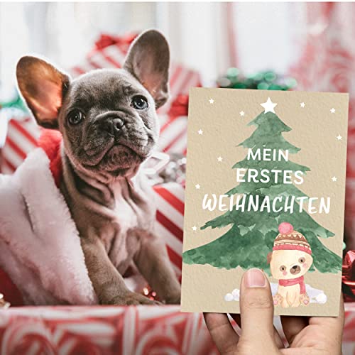 Kipitan Geschenk für Hundebesitzer: 30 Meilensteinkarten für Hund, Frauchen & Herrchen – als Hundetagebuch und Erinnerung an das erste gemeinsame Jahr