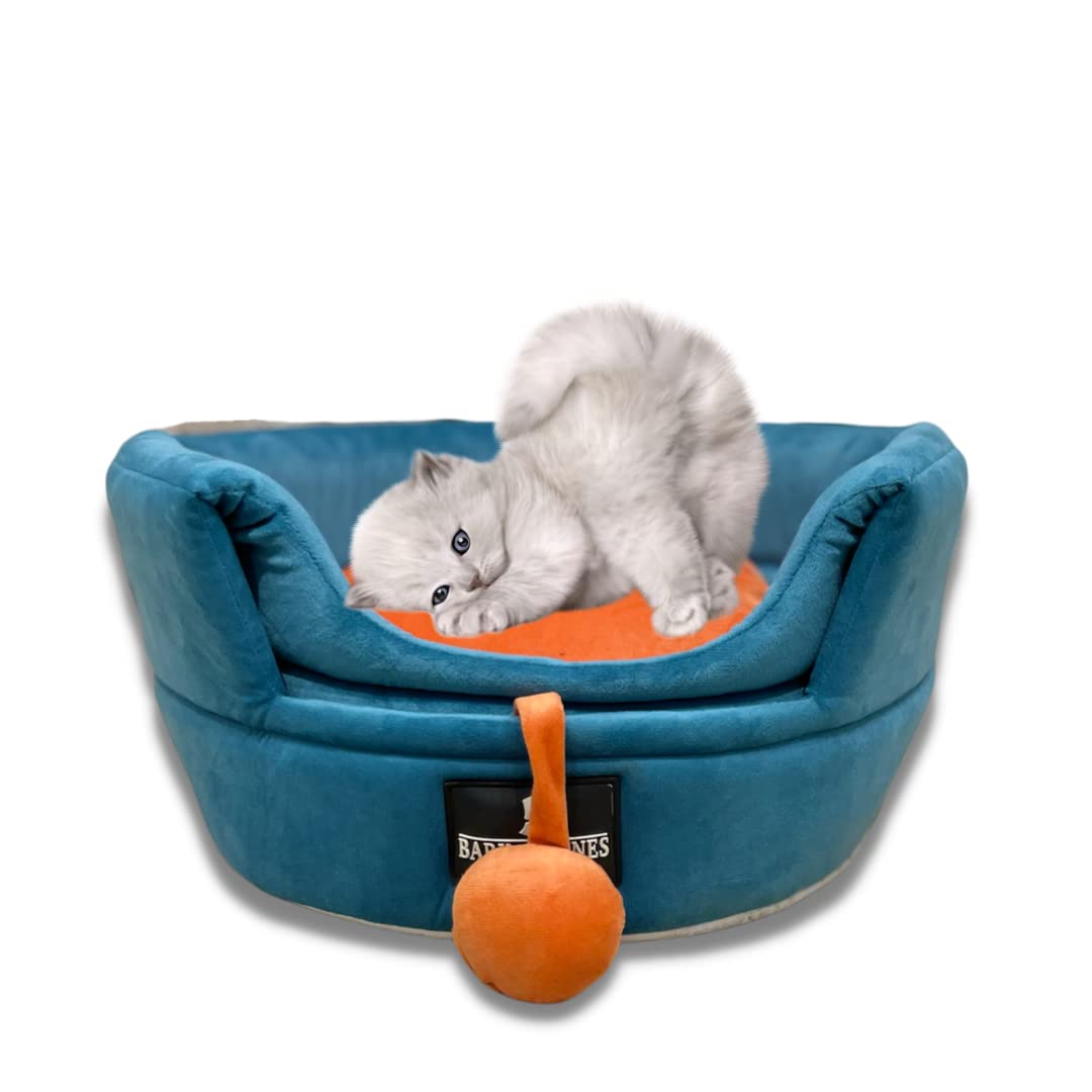 BNB Premium Soft Velvet Cats Kittens Pet Hut House/cat House/Foldable House  (L x W x H) 46 X 46 X 40 cm (Medium) (Turquoise) : Amazon.in: Pet Supplies