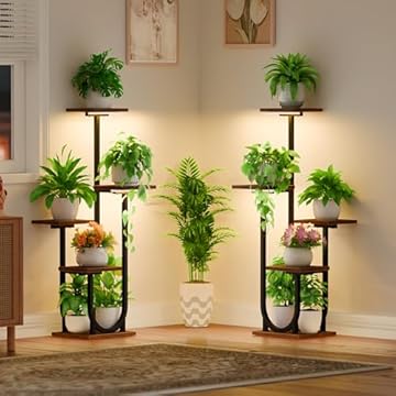 Top Indoor Plant Stands That Transform Your Space with Light 3 best indoor plant stands for multiple plants with lights