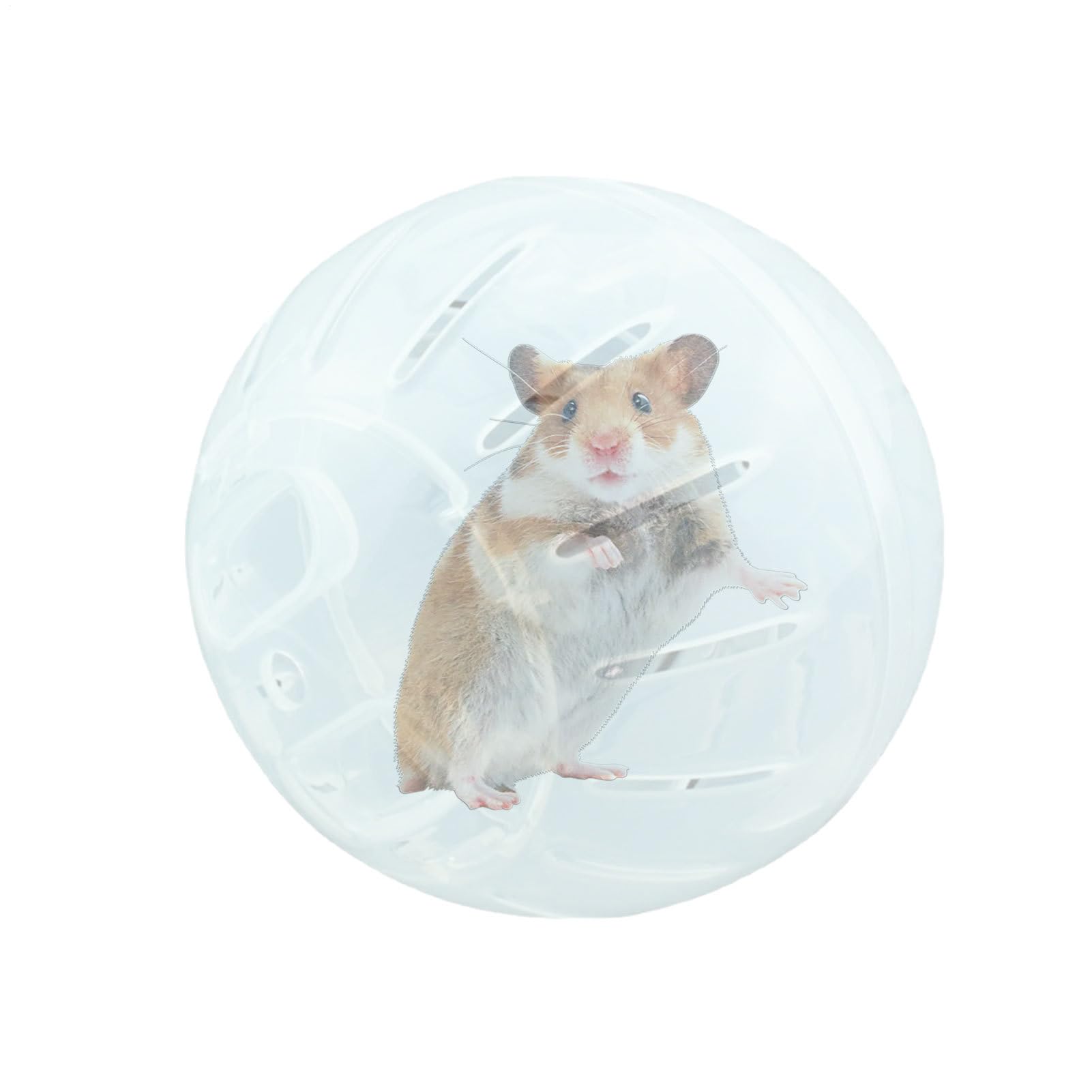 Genérico Bola De Hámster - 10CM Pelota De Hámster, Transparente Bola De Actividad para Hámsters, Juguete De Actividad para Animales Pequeños, para Ratas, Roedores, Jerbos, Mascota Pequeña