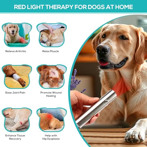 Image of Vicmama Red Light Therapy for Dogs - Red Light Therapy Devices, Infrared Healing Light Therapy for Dogs, Cats Muscle & Joint Pain Relief, Near Infrared Light Therapy for Dogs Body Reduce Inflammation