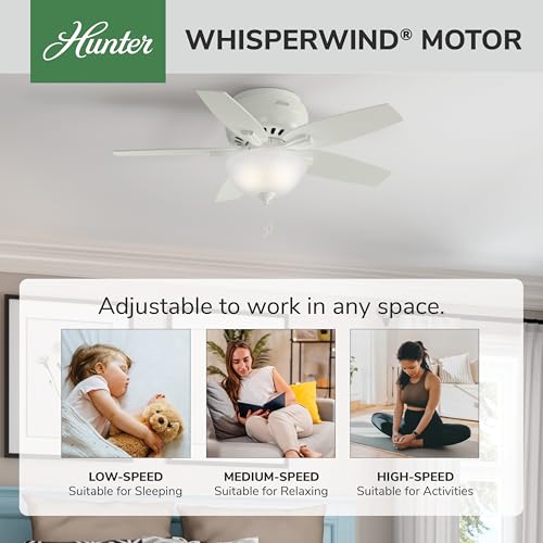 Image of Hunter Newsome, Indoor, Ceiling Fan, with LED Light, 42 inch, Fresh White