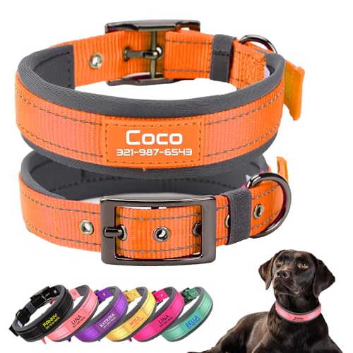 Personalisiertes Hundehalsband mit Haustiernamen und Telefonnummer, weiche Neopren-Polsterung, Robustes Hundehalsband, geeignet für kleine, mittlere und große Hunde, Orange