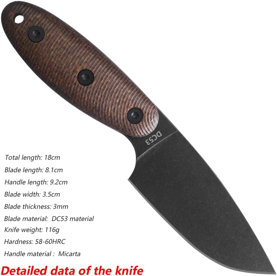 DC53 Steel Fixed Knife Kydex Sheath, Men's EDC Outdoor Camping Fruit Knife Fishing Knives (Black)