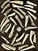 Natural Dakota Deer Antler Crafting Points (Jewelry, Home Décor, Crafts) (1"-3" with Drilled Hole) #3