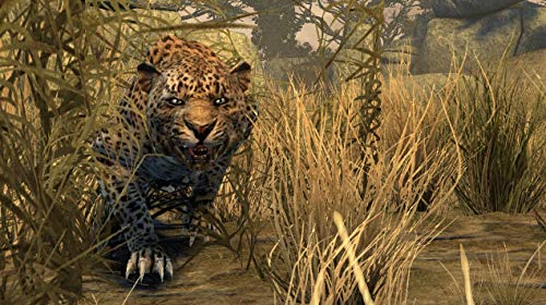 Image of Cabela's Dangerous Hunts 2011 Special Edition (Renewed)