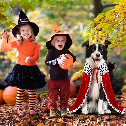 XIMISHOP Halloween Huastier Kostüme König,Hunde und Katze Umhang Rot Halloween Cosplay Lux Mantel Für Prinz und Prinzessin