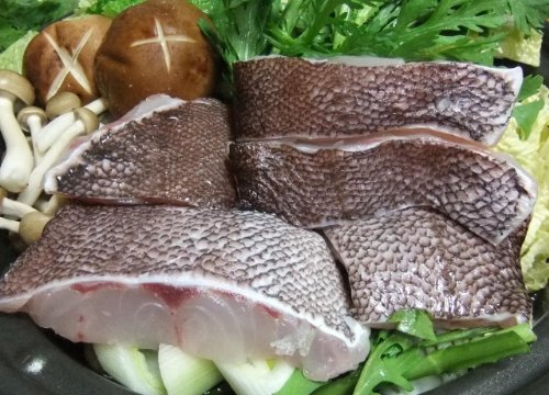 Nhkうまい 幻の高級魚 マハタ 学生レシピまとめ 宇和島市 Nhkうまい 幻の高級魚 マハタ 学生レシピまとめ 宇和島市