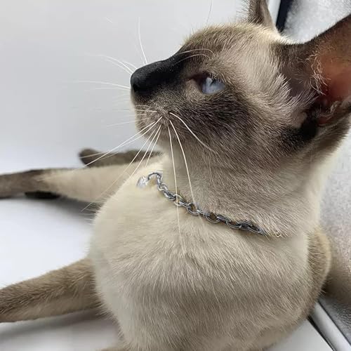 Image of HOWWFALY Dog Collar and Cat Chain Necklace Stainless Steel Adjustable 18K Sliver Heart-Shaped Necklace for Small Pets Cats Kitten Puppy (Sliver, 10 inch)