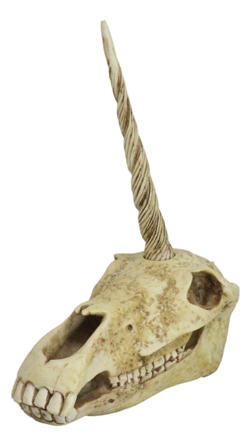 Ebros - Estatua de calavera de unicornio fósil antiguo, modelo de esqueleto de criatura mítica, gran regalo para arqueólogos, aventureros de excavación y coleccionistas