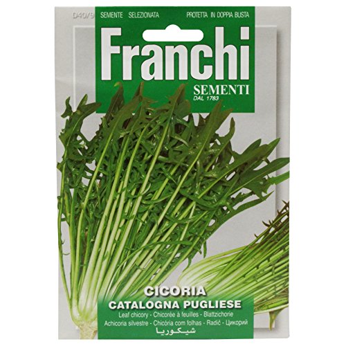 Franchi Chicory Catalogna of Pugliese