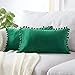 IUYJVR 2 Housse de Coussin en Velours Brillant avec Boule décor scandinave Coussin Salon intérieur canapé décoratif Chambre moderne-30 x 50 cm_Vert Emeraude_Vert Emeraude