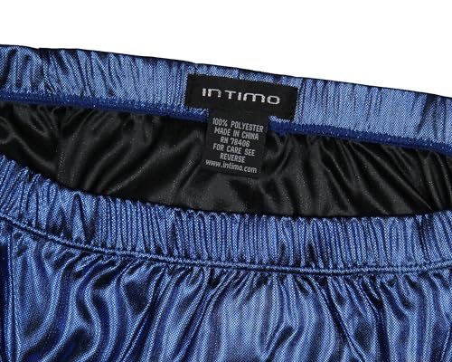 INTIMO Mens Metallic Blue Bikini Brief Underwear4