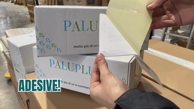 Rotoli Etichette 100x100 Mm Virsus Etichette Termiche 100x100 Mm - 20 Rotoli Da 500 Pz, Totale 10000 Etichette Per Stampanti Etichette Termiche Foro 40mm - Foto 3