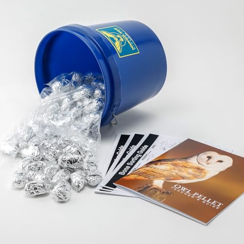 Image of P1-100 Bargain Bucket, 100 Regular Owl Pellets with Teachers Guide and Bone Sorting Sheets