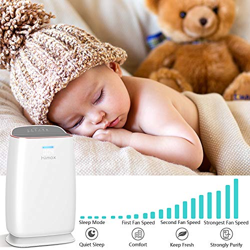 Himox Air Purifiers For Home Large Room Covers 1200 Ft² H13 Ture Hepa Filter For Allergies Pets Bedroom With Pm 1.0 Digital Display, Remove 99.97% Of Pollen Mold Smoke Dust Odor To 0.1Micron 20Db, H04 #TOP3