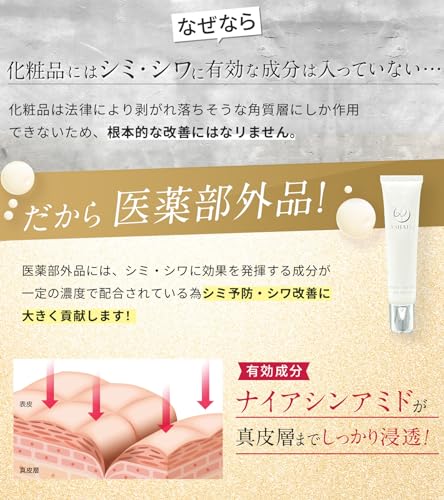 Amazon.co.jp: ASHADA（アスハダ）: セット商品