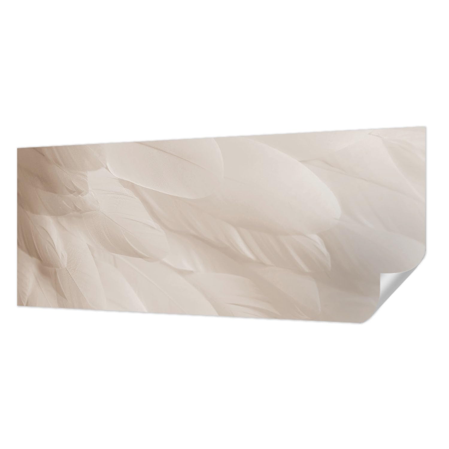 Papier peint panoramique plumes Tulup pour salon et chambre cosy