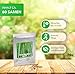 BAMBÚ GIGANTE MOSO 60 semillas - Phyllostachys pubescens - „El rey de...