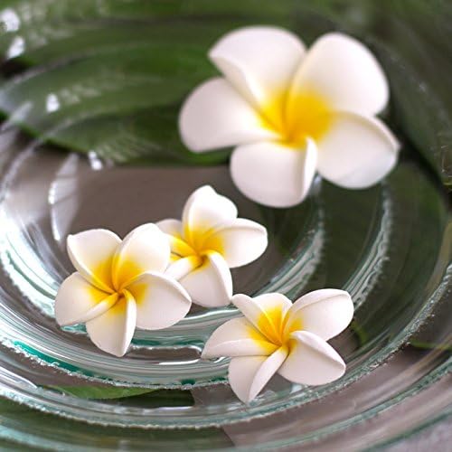 Amazon 造花 花のみ 花びら インテリア プルメリア Sサイズ ホワイト 小さい オブジェ 花飾り アジアン雑貨 バリ雑貨 南国リゾート ハワイアン フラワーアート 大量まとめ買い可 造花 オンライン通販