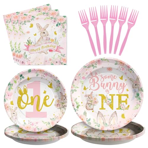 Some Bunny is One Birthday Serving Supplies