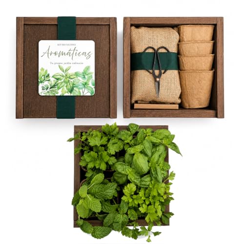 Kit Cultivo Hierbas Aromáticas – Caja Botánica de Madera con Semillas, Macetas y Accesorios – Huerto Urbano Interior para Cocina – Garden Pocket (Albahaca, perejil, hierbabuena y cilantro)