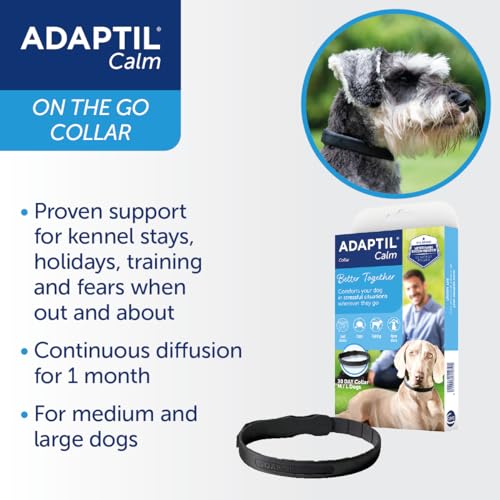ADAPTIL Calm Collar for Small Dogs - Image 8