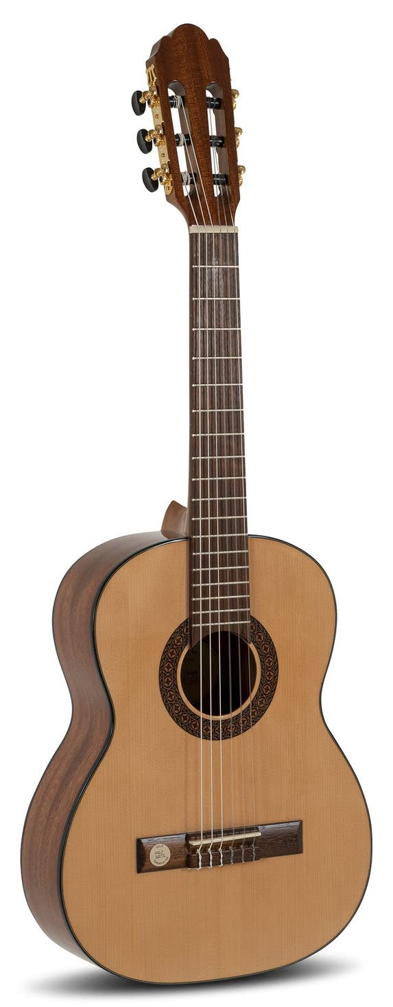 VGS Pro Arte GC de 50 a Guitarra de concierto 1/2 Starter Set (Set Incluye 1/2 VGS Guitarra de concierto & de 5 accesorios), ideal para principiantes marrón