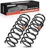 Frankberg 2x Ressorts de suspension Essieu Arrière Compatibles avec Série 7 E65 E66 E67 730 735 740 745 Limousine 2001-2008 Remplacer# 33536753494