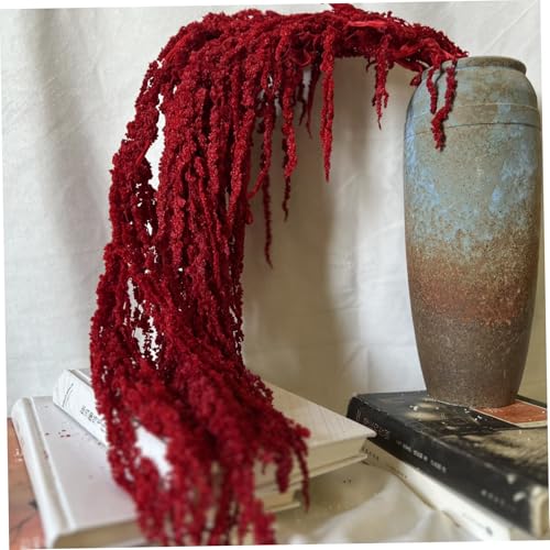 Amarante séchée rouge foncé de 60-80cm pour bouquet suspendu décoratif - 3