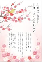 Closed Pin New Year's Card Postcard, Private Postcard, Pack of 5, New Year Greeting and Plum