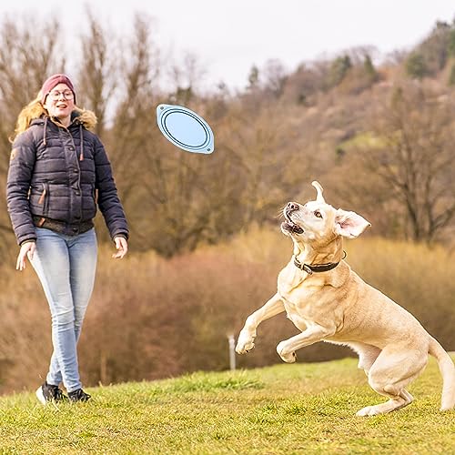 2 Stück Faltbare Reiseschale Auslaufsichere Hundenapf Faltbar aus Silikon Wassernapf für Hunde Unterwegs und Haustiere für Wasser und Futter(Rosa, Blau)