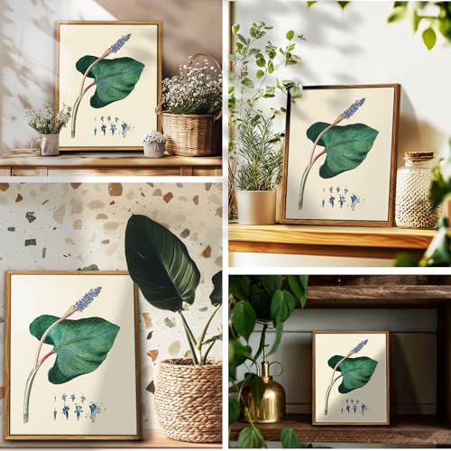 crmotu Framed Wall Art, Botanical Wall Art, Nature Canvas Prints, Leaf Minimalist Vintage Paintings, Still Life Plant Pictures for Living Room Bedroom Bathroom Kithcen Farmhouse 12x16 inch