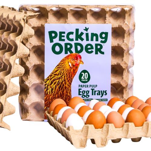 Paper Pulp Egg Trays - 20 Pack