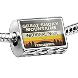 NEONBLOND Bead National Park Great Smoky Mountains Charm Fits All European Bracelets