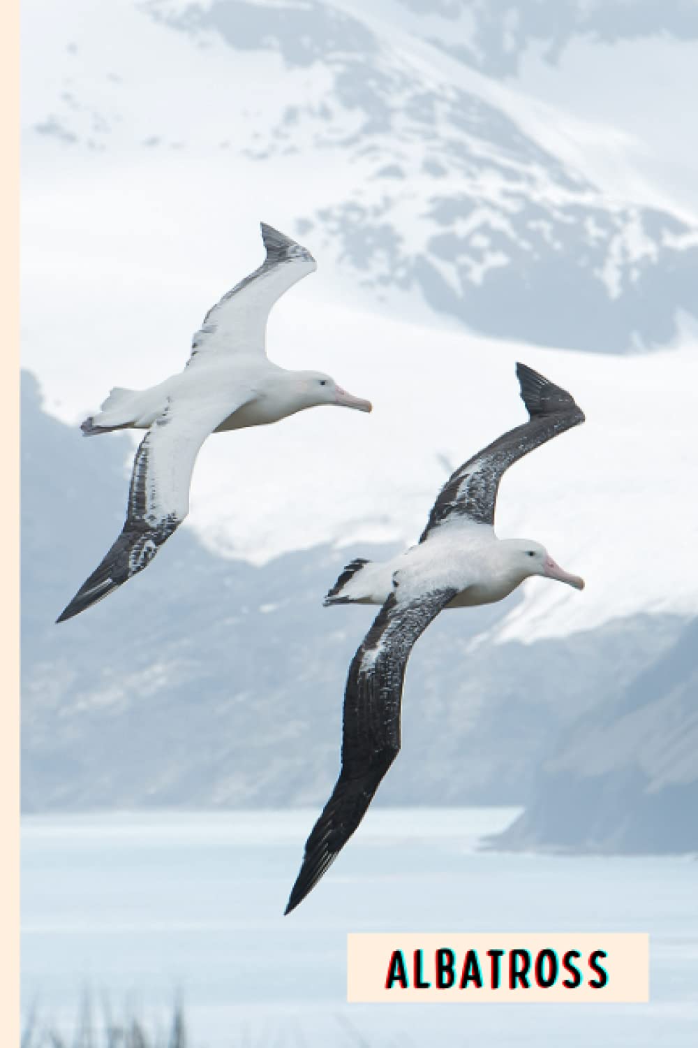 Albatross: Perfect Albatross Journal for Memories And Notes , Albatross Notebook ( 110 Pages, 6x9 )