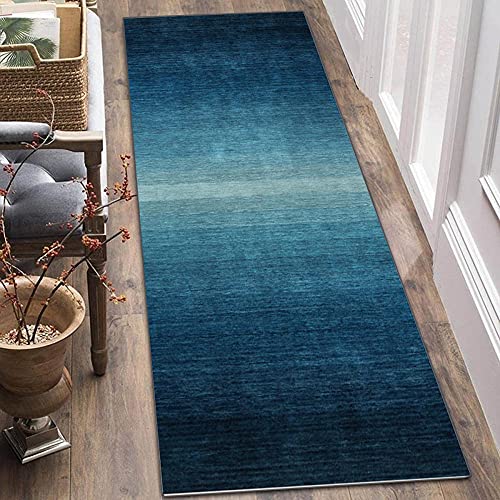 ZJXSNEH Tapis De Couloir Tapis Moderne Antidérapant Lavable Extra Doux Antidérapant Tapis De Couloir pour Cuisine Passage Chambre Bleu 40X80CM Cover