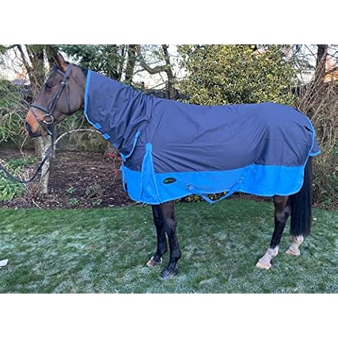 IV Horse 600 Denier No Fill Turnout Rug Cover