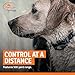 SportDOG FieldTrainer 425X - Remote Trainer Designed for Off-Leash Control & Training - 500-Yard Range - Waterproof - Quick Charge-Collar with 21 Levels of Static, Tone, & Vibration