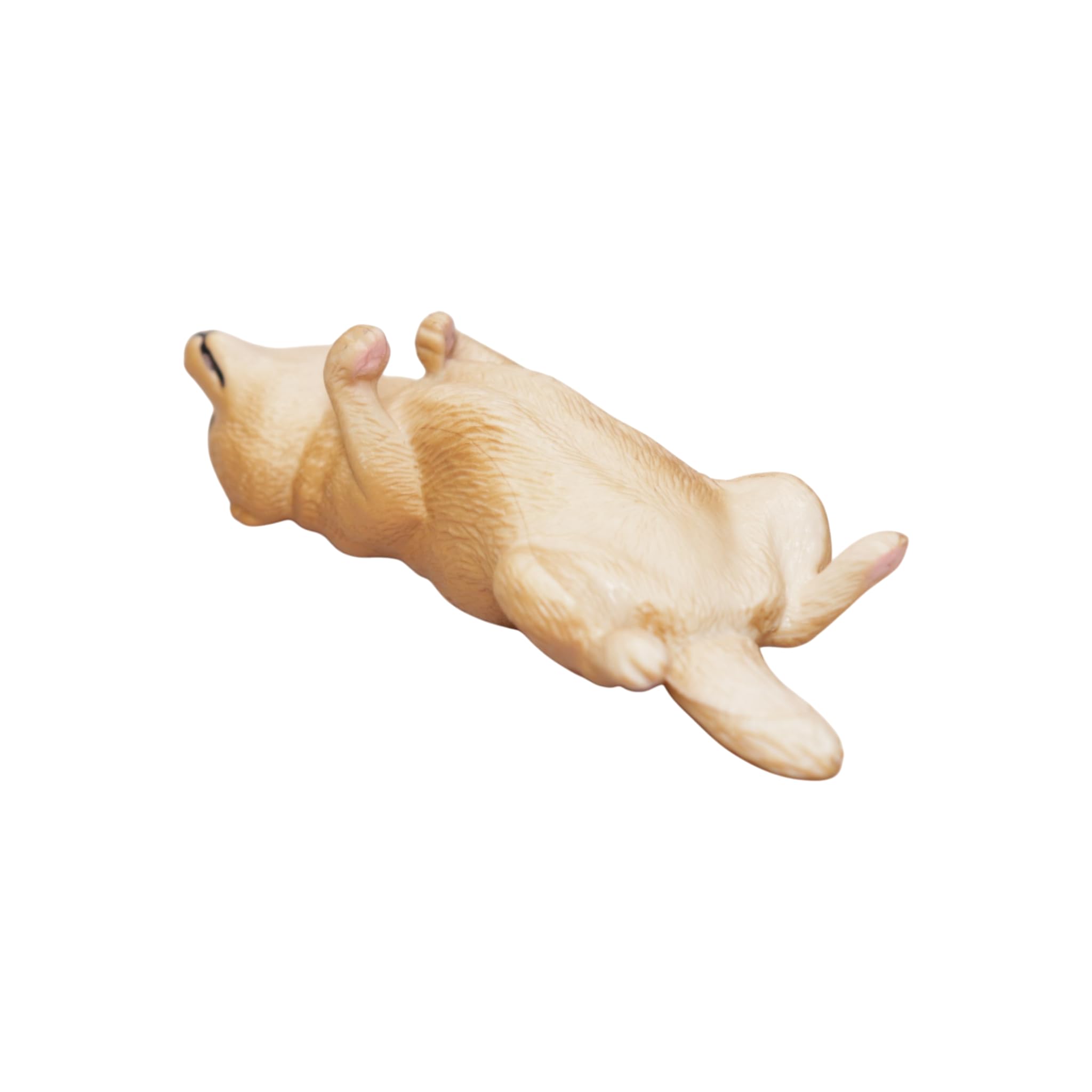 Amazon.co.jp: [猫神山] 柴犬 シバ犬 わんこ へそ天 ミニチュア