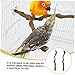TOYANDONA 2Pcs Parrot Stand Durable Vine Bird Perch for Cockatiels Parakeets and Birds for Home Office and Pet Shops Encourages Exercise and Coordination Skills