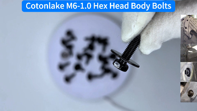 Image of 25pcs M6-1.0 Hex Head Body Bolts Bumper Fender Splash Shield Under Cover Hood,m6 Bolt,hex Bolts,10mm Bolt,20mm Washer