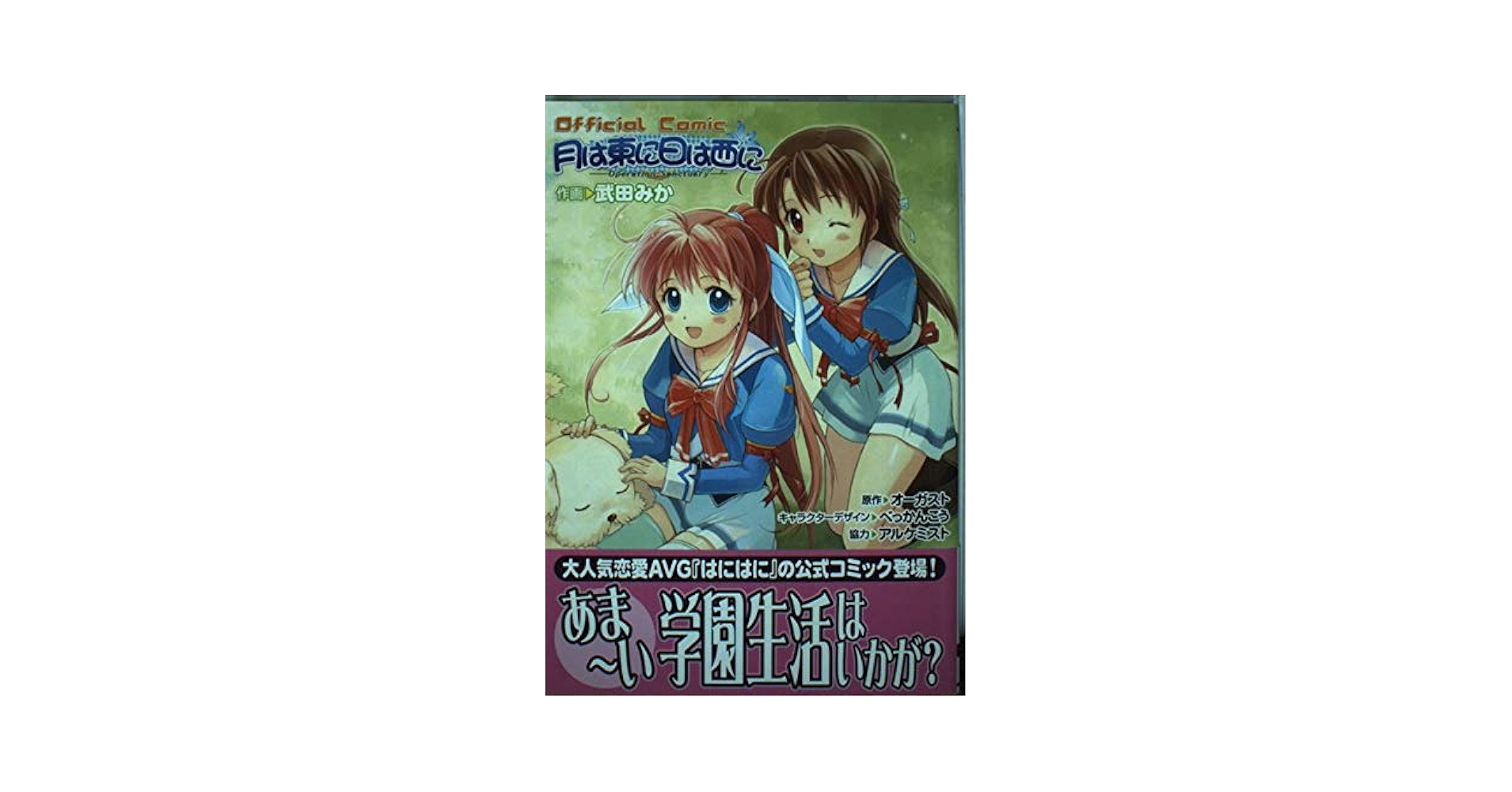 Amazon.com: 月は東に日は西に―Operation sanctuary (電撃