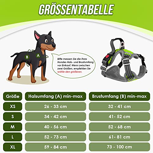 Eyein Hundegeschirr für Kleine Mittelgroße Hunde, Air Mesh Atmungsaktiv Brustgeschirr mit weichem Griff und Abschließbare Karabiner, ausbruchsicher reflektierend Hund Geschirr für Welpen, Grün, S