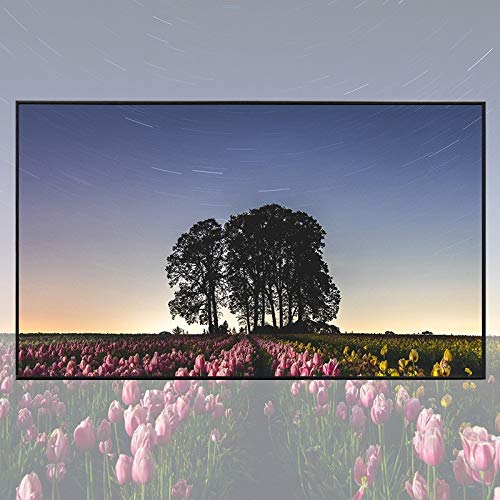 Pantalla de proyector alta brillo 3.2m x 1.6m tela reflectante miniatura 2