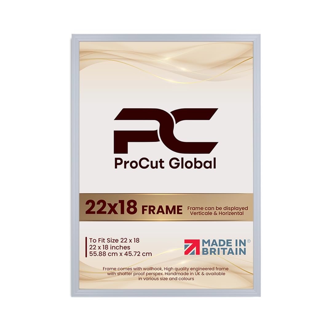 Procut Global 22x18 Light Grey Picture Frames - Classic Wooden Photo Frame with Shatterproof Perspex for Wall or Tabletop - Perfect for Posters, Certificates & Prints - Sizes & Colors Available